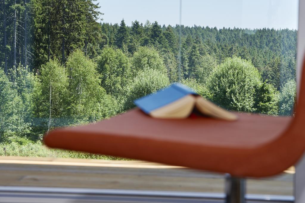 Schwarzwald Lodge Rothaus غرافنهاوسن الغرفة الصورة