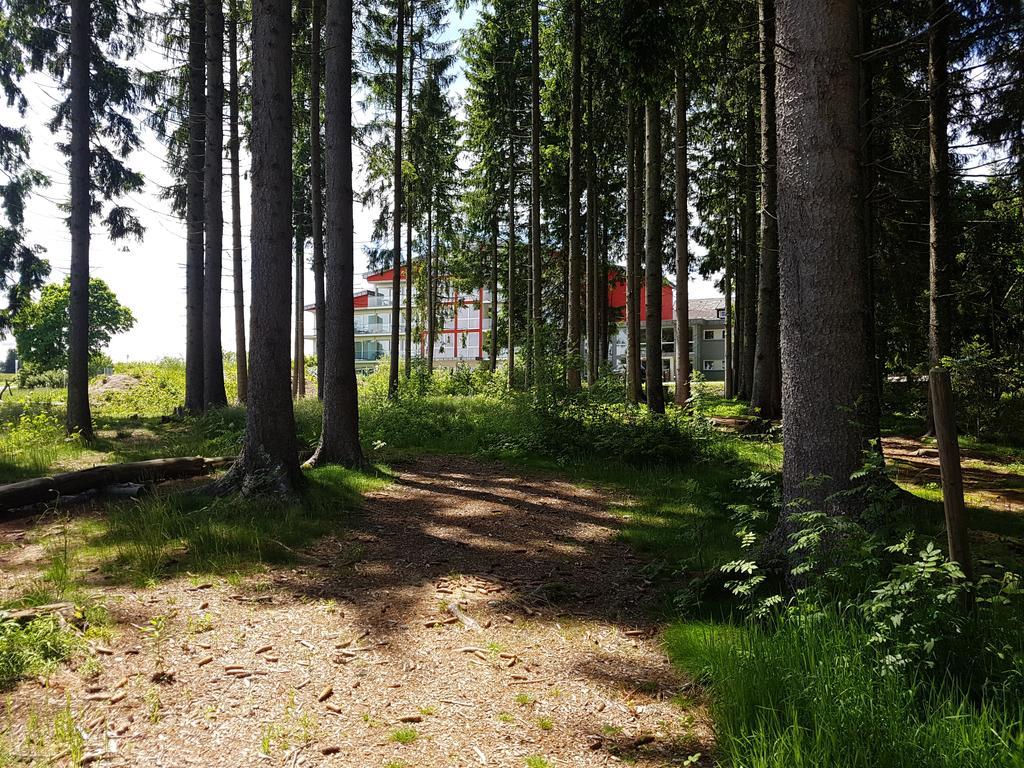 Schwarzwald Lodge Rothaus غرافنهاوسن المظهر الخارجي الصورة