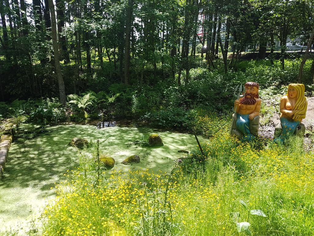 Schwarzwald Lodge Rothaus غرافنهاوسن المظهر الخارجي الصورة